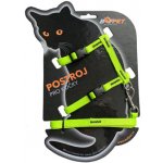 Bafpet Set CAT kšír + vodítko 120 cm 19 - 26 cm 24 - 37 cm – Zboží Dáma