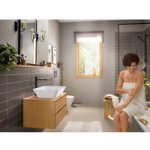 Hansgrohe 72576670 – Hledejceny.cz