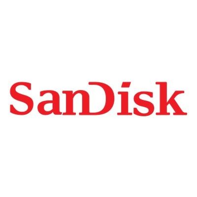 SanDisk SDHC UHS-I 32 GB SDSDXWT-032G-GNCI2