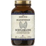 Modern Native Schildklier Sušená hovězí štítná žláza v kapslích 500 mg 180 ks – Hledejceny.cz