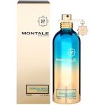 Montale Tropical Wood parfémovaná voda unisex 100 ml – Hledejceny.cz