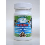 EasyFish Artemia 100 ml – Zboží Mobilmania