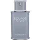 Yves Saint Laurent Kouros Silver toaletní voda pánská 50 ml