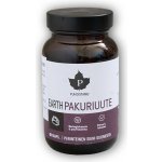 Puhdistamo Earth Chaga BIO Pakuriuute 60 kapslí – Hledejceny.cz