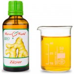 Bylinné kapky BIO Zázvorovník zázvor BIO tinktura 50 ml – Hledejceny.cz