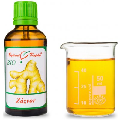Bylinné kapky BIO Zázvorovník zázvor BIO tinktura 50 ml – Hledejceny.cz