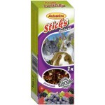 Avicentra Tyčinka Hlodavec lesní ovoce 2 x 60 g – Zboží Dáma