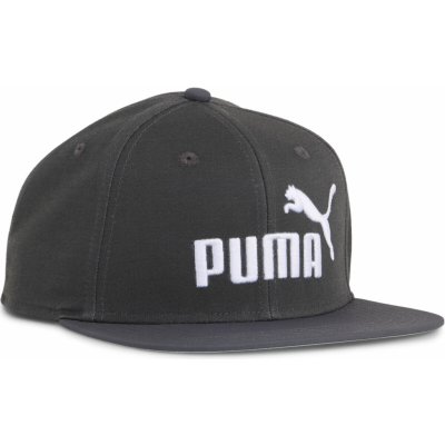 PUMA ESS No. 1 Logo Flat Brim Cap PUMA Dusky Gray – Hledejceny.cz