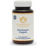 Maharishi Ayurveda Kanchanara Guggulu 60 kapslí – Hledejceny.cz