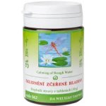 TCM Herbs Zklidnění zčeřené hladiny 062 100 kuliček – Hledejceny.cz