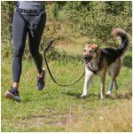 TRIXIE BĚŽECKÝ PÁS S VODÍTKEM – Hledejceny.cz
