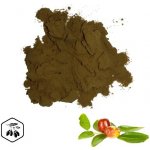 LifeChi Cicimek čínský (Ziziphus jujuba) extrakt v prášku 25 g – Hledejceny.cz