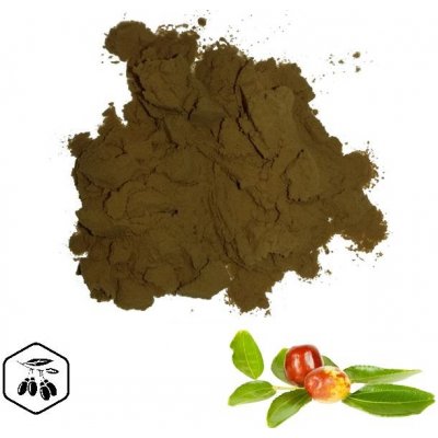 LifeChi Cicimek čínský (Ziziphus jujuba) extrakt v prášku 25 g – Hledejceny.cz