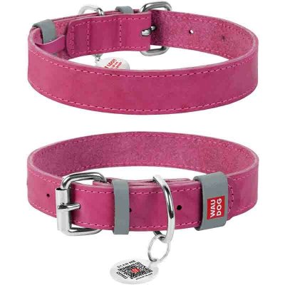 Waudog Obojek kožený Classic – Sleviste.cz