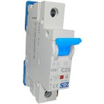 SEZ PR 61-C 20A