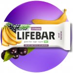 Lifefood Lifebar BIO RAW 40 g – Zboží Dáma