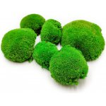 mech-mech.cz Ball Moss - kopečkový mech - středně zelená - 200g - SWE – Zboží Dáma