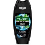 Palmolive for Men Revitalising Sport sprchový gel 250 ml – Zboží Dáma