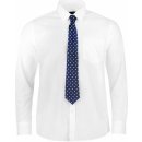 Pierre Cardin shirt and Tie Set Mens