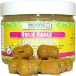 CC Moore boilies V Dipu Live System 10x14 mm 50 ks – Hledejceny.cz