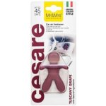 Mr&Mrs Fragrance Cesare Tuscany Grape | Zboží Auto