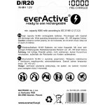 everActive professional line D 10000mAh 2ks EVHRL20-10000 – Zboží Živě