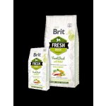 Brit Fresh Duck with Millet Active Run & Work 12 kg – Sleviste.cz