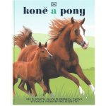 Koně a pony - Vše o koních, jejich plemenech, chovu, výcviku a vybavení pro jezdectví - Caroline Stamps