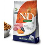 N&D Pumpkin Dog Adult Medium & Maxi Grain Free Lamb & Blueberry 12 kg – Zbozi.Blesk.cz
