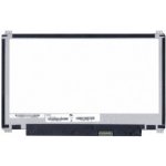 Asus Eeebook X205TA-FD Series LCD Display 11,6" LED 30pin eDP - Lesklý – Hledejceny.cz