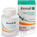 Candioli Renal P 70 g – Hledejceny.cz