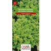 Osivo a semínko Majoránka zahradní - semena 0,2 g
