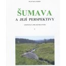 Zeptejte se pilota - Vše, co jste kdy chtěli vědět o letecké dopravě a cestování letadlem - Smith Patrick