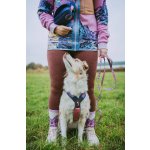 Non-stop Dogwear Postroj Line 5.0 Rachel Pohl – Zboží Dáma