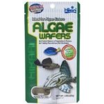 Hikari Algae Wafers 82 g – Hledejceny.cz