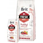 Brit Fresh Beef with Pumpkin Puppy Large 12 kg – Hledejceny.cz