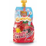 Ovocňák 100% šťáva jablko lesní ovoce 250 ml – Zbozi.Blesk.cz