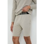 Calvin Klein NM2271E - P7A pánské pyžamové šortky šedé – Zboží Mobilmania