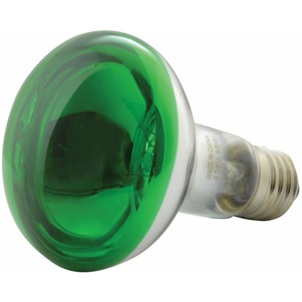 Žárovka QTX R80 230V/60W E27, zelená