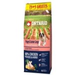 Ontario Puppy & Junior Large Chicken & Sweet Potatoes 2 x 20 kg – Hledejceny.cz