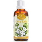 Serafin Gotukola tinktura z pupenů 50 ml – Hledejceny.cz