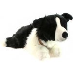 Pes border kolie – Sleviste.cz