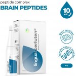 Garmonia Cerluten lingual 10 ml peptidový komplex – Hledejceny.cz