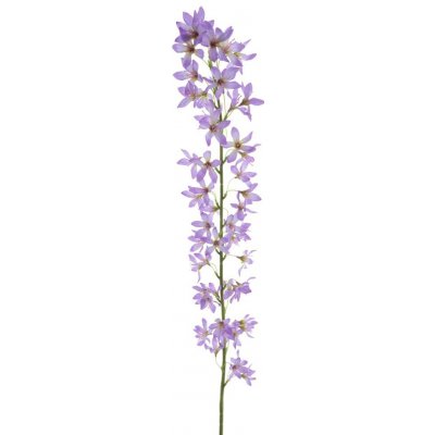 Trojpuk (Deutzia) fialová (lavendel) délka 100 cm – Hledejceny.cz
