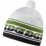 Salomon Nordic Beanie bílá/zelená