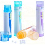 ARNICA MONTANA POR 15CH GRA 4G – Sleviste.cz