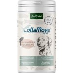 AniForte CollaMove Kolagen pro psy 250 g 450 g – Hledejceny.cz