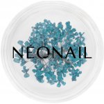 NEONAIL Dried Flowers sušený květ na nehty odstín 05 Turquoise 1 ks – Hledejceny.cz