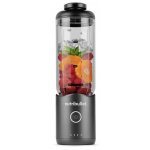 Nutribullet Flex NBP013GM – Hledejceny.cz