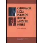 Chirurgická léčba poranění hrudní a bederní páteře - Lumír Hrabálek – Hledejceny.cz